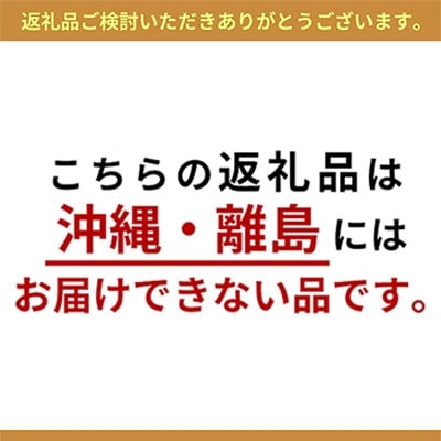 内藤ぶどう園 岡山県産 シャインマスカット 桐箱1房入り 800g以上[No.5735-0935]