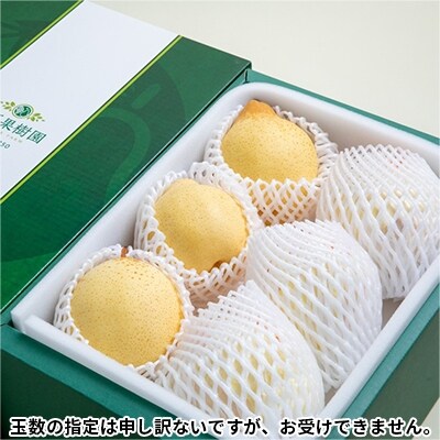 【先行受付】鴨梨(ヤーリー)5～10玉 合計約3kg 贈答箱 岡山県産 [No.5735-0945]