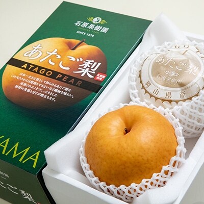 【先行受付】あたご梨 2玉 (1玉 約750g) 化粧箱 岡山県産 [No.5735-0937]