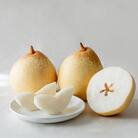 【先行受付】鴨梨(ヤーリー)6～10玉 約4kg 贈答箱 岡山県産 [No.5735-0946]