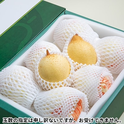 【先行受付】鴨梨(ヤーリー)6～10玉 約4kg 贈答箱 岡山県産 [No.5735-0946]