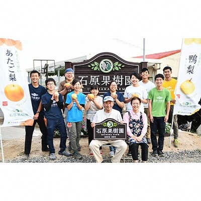 あたご梨・鴨梨(ヤーリー)詰合せ 合計約2kg 贈答箱 岡山県産 [No.5735-0948]