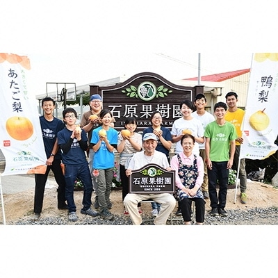 あたご梨・鴨梨(ヤーリー)詰合せ 合計約4.5kg 贈答箱 岡山県産  [No.5735-0951]