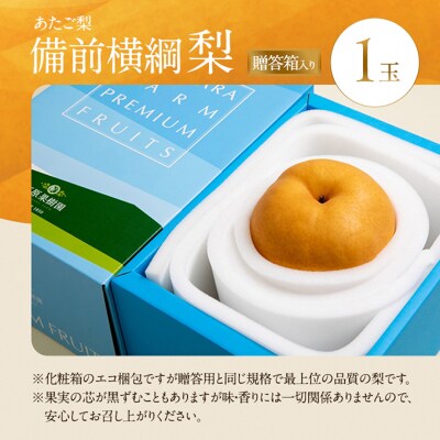 備前横綱梨(あたご梨) 1玉 (1～1.4kg) 贈答箱 岡山県産 [No.5735-0952]