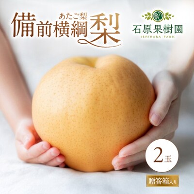 備前横綱梨(あたご梨) 2玉 (1玉1～1.5kg)贈答箱 岡山県産 [No.5735-0953]