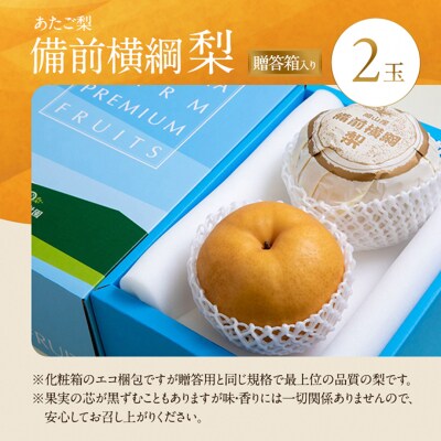 備前横綱梨(あたご梨) 2玉 (1玉1～1.4kg)贈答箱 岡山県産 [No.5735-0953]