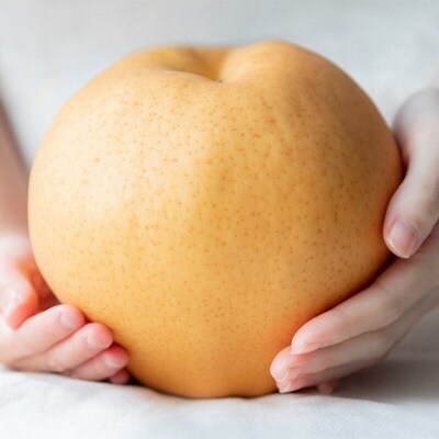 備前横綱梨(あたご梨)3玉(1玉1～1.4kg)贈答箱 岡山県産 [No.5735-0954]