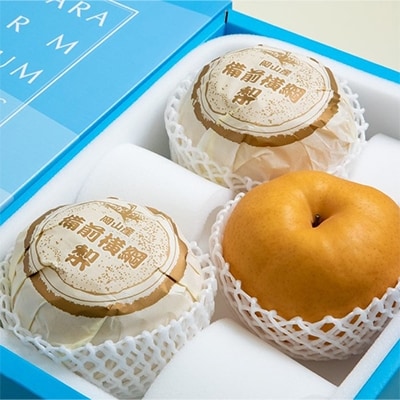 備前横綱梨(あたご梨)3玉(1玉1～1.4kg)贈答箱 岡山県産 [No.5735-0954]