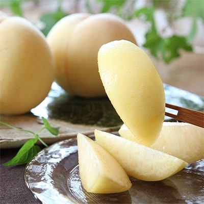 桃茂実苑 岡山特産 清水白桃 約2.0kg 7～8玉 桐箱入り[No.5735-0969]