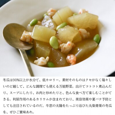瀬戸内牛窓産 冬瓜(とうがん)約10kg[No.5735-0589]