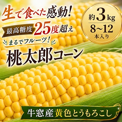 最高糖度25度超え瀬戸内朝採り とうもろこし 桃太郎コーン 約3kg(8～12本)[2157001]