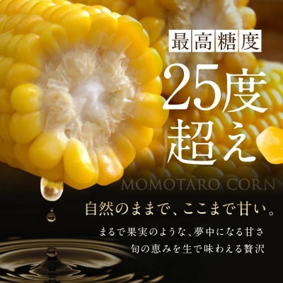 最高糖度25度超え瀬戸内朝採り とうもろこし 桃太郎コーン 約3kg(8～12本)[2157001]