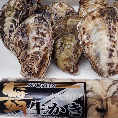 牡蠣むき身500gと殻付牡蠣10個セット 山銀商店 瀬戸内海虫明湾産[No.5735-0681]