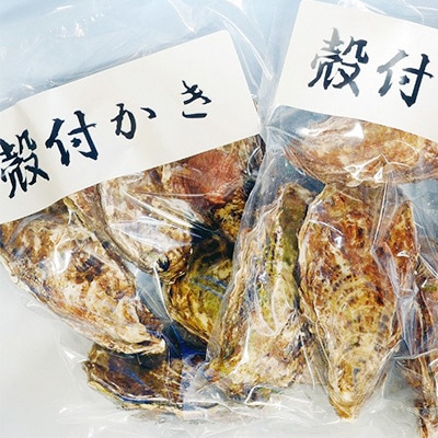 殻付き牡蠣 レンジでチンセット 5個入×2袋 山銀商店 瀬戸内海虫明湾産[No.5735-0682]