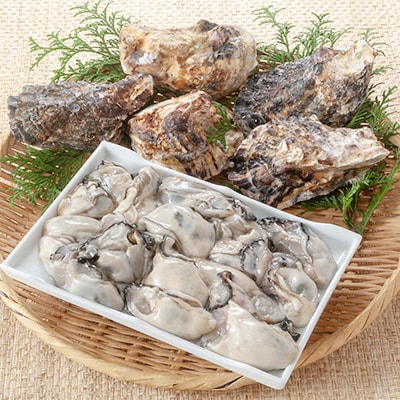 殻付き牡蠣 お徳用半斗缶 約6kg前後(約50個)山銀商店 瀬戸内海産 [No.5735-0697]