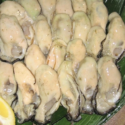 牡蠣むき身 500g×2パック(合計1kg) 山銀商店 瀬戸内海虫明湾産[No.5735-0836]