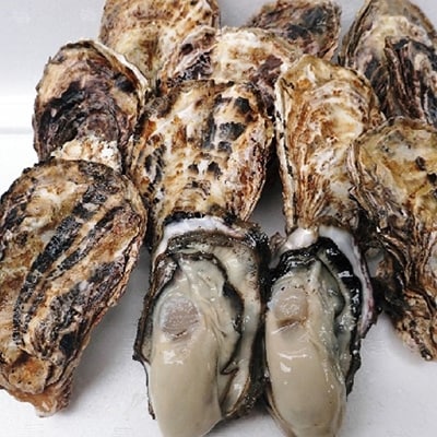 殻付き大つぶ牡蠣 30個 山銀商店 瀬戸内海虫明湾産[No.5735-0837]