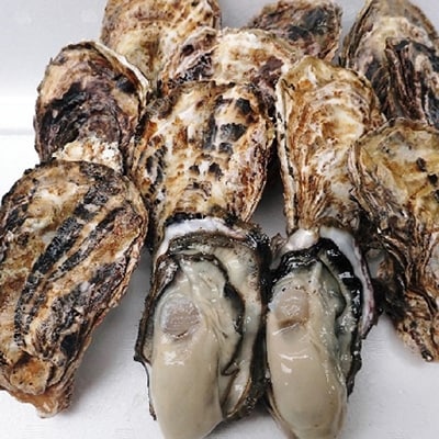 殻付き牡蠣 お徳用一斗缶(小粒約100個、約10kg)山銀商店瀬戸内海産[No.5735-0838]
