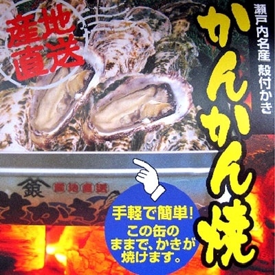 かんかん焼(殻付き大つぶ 牡蠣 20個) 山銀商店 瀬戸内海虫明湾産[No.5735-0840]