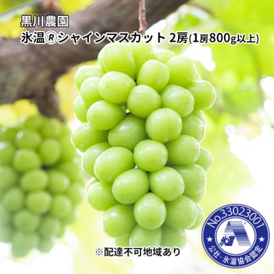 黒川農園 氷温(登録商標)シャイン マスカット 2房(1房800g以上)[No.5735-1024]