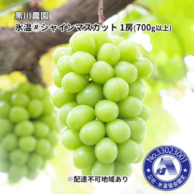 黒川農園 氷温(登録商標) シャイン マスカット 1房(700g以上) [No.5735-1025]