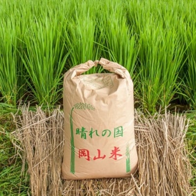 令和7年産 「 ヒノヒカリ 」 玄米 30kg(精米用)岡山県瀬戸内市産[No.5735-1032]