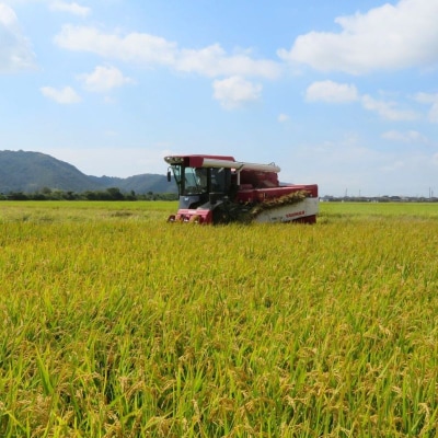 令和7年産 「 ヒノヒカリ 」 玄米 30kg(精米用)岡山県瀬戸内市産[No.5735-1032]
