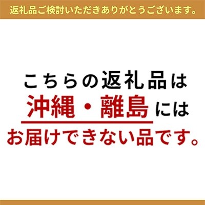 岡山県産 あたご梨 大玉2玉(約2.2kg)【配達不可:沖縄・離島】[No.5735-0821]