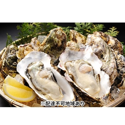 秀栄水産 瀬戸内の 牡蠣 (殻つき 大粒15粒)[No.5735-0220]