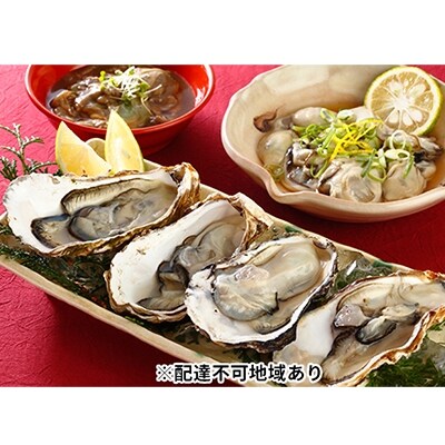 秀栄水産瀬戸内の牡蠣豪華セット(むき身400g殻つき約2kg塩辛90g)[No.5735-0226]
