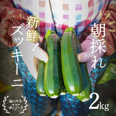 瀬戸内牛窓産 ズッキーニ 約2kg(12本前後)[No.5735-1031]