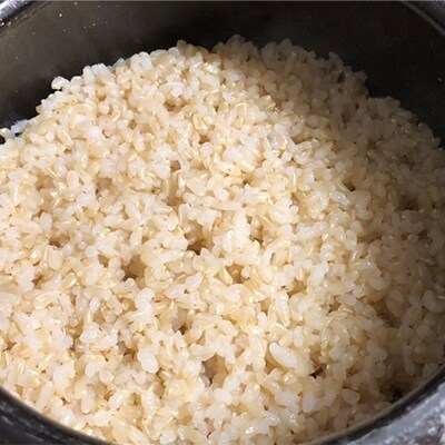 瀬戸内自然栽培米 ひのひかり 玄米 10kg(5kg×2袋)[No.5735-0787]