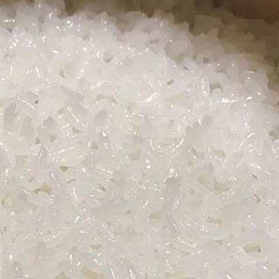 瀬戸内自然栽培米 ひのひかり 白米 10kg(5kg×2袋)[No.5735-0789]