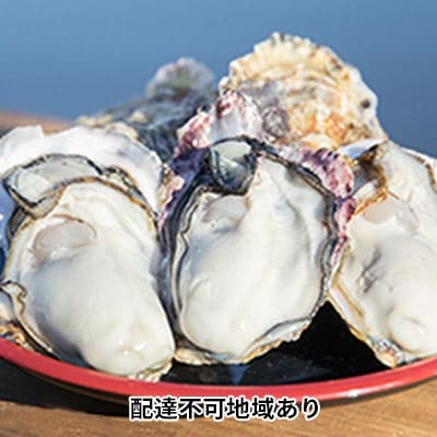 モリ旬 牡蠣 1斗缶 殻付き 約10～12kg  岡山県瀬戸内市虫明産 [No.5735-0684]