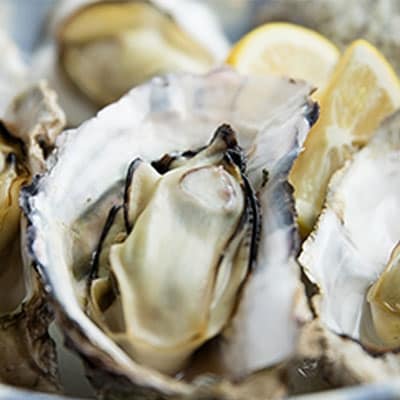 モリ旬 牡蠣 1斗缶 殻付き 約10～12kg  岡山県瀬戸内市虫明産 [No.5735-0684]