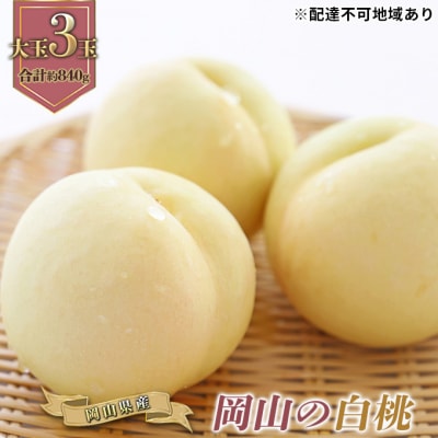 岡山の 白桃 大玉3玉 早生種 合計約840g 岡山県産 [No.5735-0884]