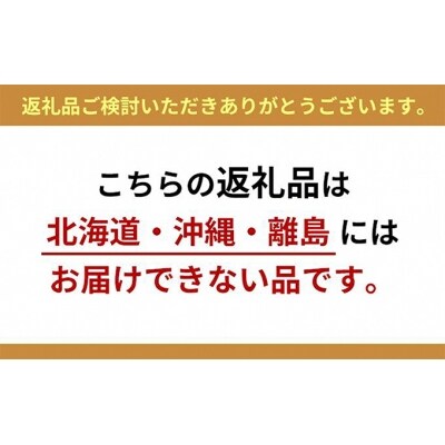 【2025年先行受付】ニューピオーネ 2房 合計1.2kg以上 岡山県産[No.5735-1061]