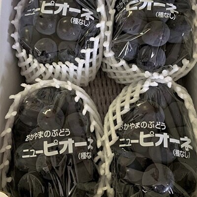 【2026年先行受付】ニュー ピオーネ 4房 合計2kg以上 岡山県産 [No.5735-1062]