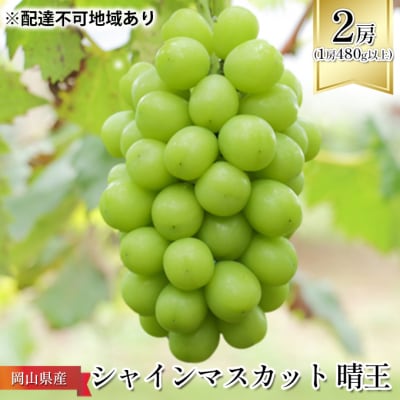 シャイン マスカット 晴王 2房 (1房480g以上)化粧箱入 岡山県産[No.5735-1088]