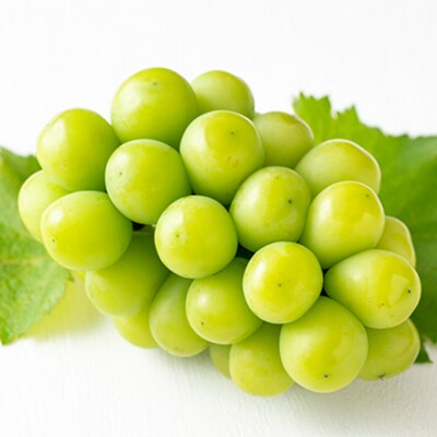 シャイン マスカット 晴王 2房 (1房480g以上)化粧箱入 岡山県産[No.5735-1088]