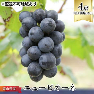 [2026年先行受付]ニュー ピオーネ 4房(1房480g以上)岡山県産[No.5735-1089]