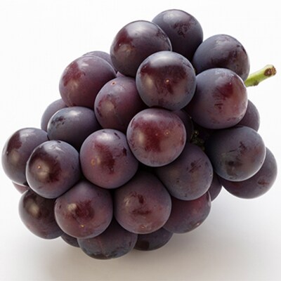 [2026年先行受付]ニュー ピオーネ 2房(1房480g以上)岡山県産[No.5735-1090]