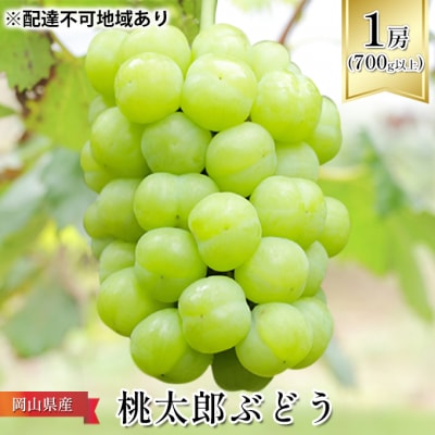 [2025年先行受付]桃太郎 ぶどう 1房(700g以上) 岡山県産  [No.5735-1091]