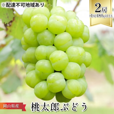 [2026年先行受付] 桃太郎 ぶどう 2房(1房480g以上)岡山県産[No.5735-1093]
