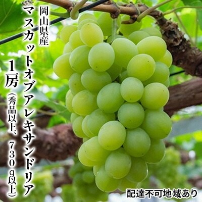 マスカット ・オブ・アレキサンドリア 1房(730g以上)岡山県産 [No.5735-1097]