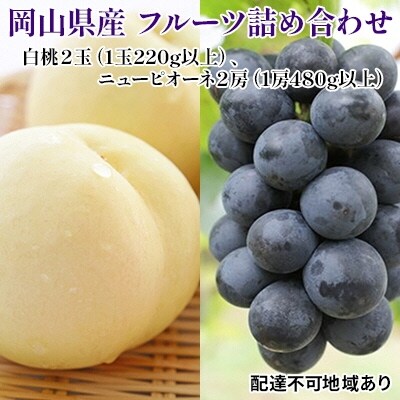 先行受付 岡山県産フルーツ詰め合わせ 白桃2玉 ニューピオーネ2房 No 5735 1099 お礼品詳細 ふるさと納税なら さとふる