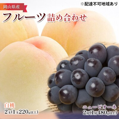桃ぶどう詰め合わせ 白桃 2玉・ニュー ピオーネ2房 化粧箱入 岡山県産[No.5735-1099]