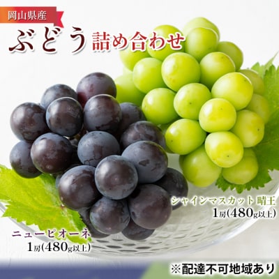 ぶどう詰め合わせ ニュー ピオーネ ・ シャイン マスカット晴王 各1房[No.5735-1098]