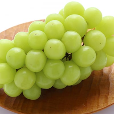 ぶどう詰め合わせ ニュー ピオーネ ・ シャイン マスカット晴王 各1房[No.5735-1098]