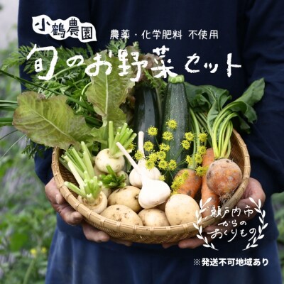 小鶴農園 季節のお野菜7～9品目セット(栽培期間中農薬・化学肥料不使用)[No.5735-1047]